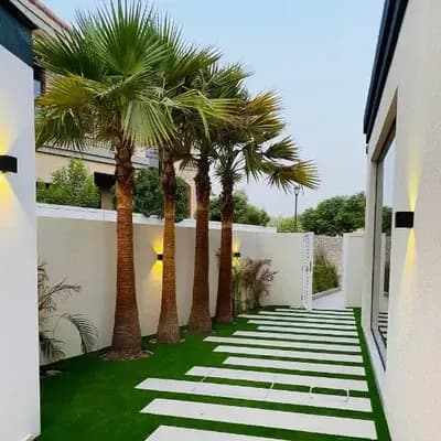 Landscaping project completed by Palm Paradise Nursery in Dubai